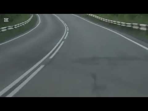 Видео: Простая истина