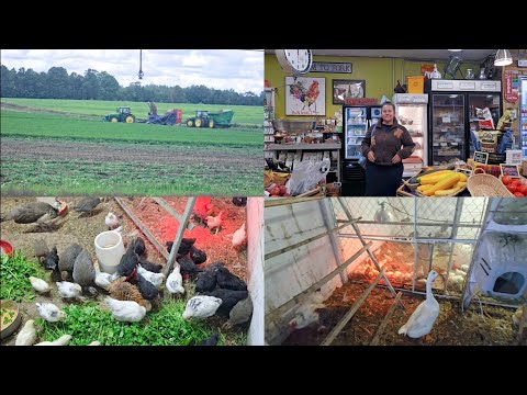 Видео: ВСЮ НОЧЬ ОЧЕНЬ СИЛЬНО ПЕРЕЖИВАЛА. 