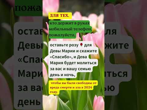 Видео: Для тех, кто держит в руках мобильный телефон, пожалуйста, оставьте розу 🌹