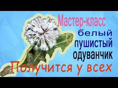 Видео: Master class white fluffy dandelion. Filleting. Мастер-класс белый пушистый одуванчик. Валяние