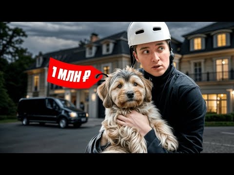Видео: Я ПОХИТИЛ ДОРОГУЮ СОБАКУ ИЗ ЧУЖОГО ДОМА.