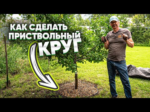 Видео: КАК СДЕЛАТЬ ПРИСТВОЛЬНЫЙ КРУГ? Зачем нужен приствольный круг вокруг дерева?