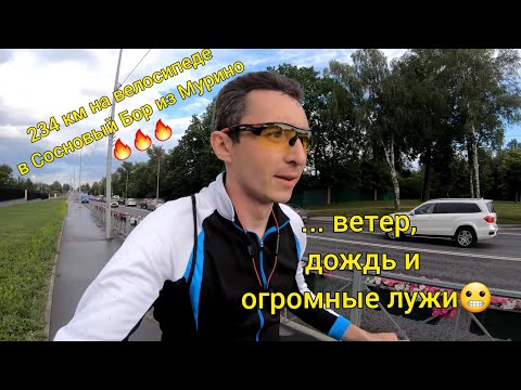 Видео: На велосипеде в Сосновый Бор из Мурино 234 км