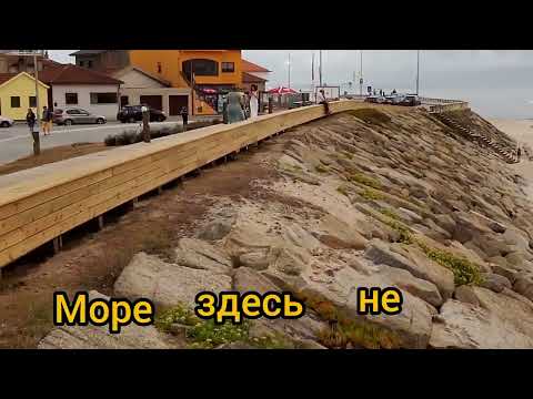 Видео: 22 октября 2025 г.