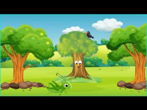 Видео: Царцаа шоргоолж хоёр