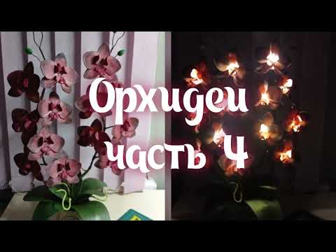 Видео: Орхидеи) часть 4