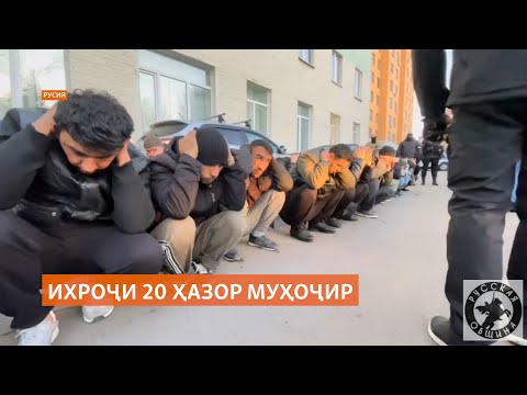 Видео: "Нелегал 2024" бо ихроҷи 20 ҳазор муҳоҷир дар Русия хотима ёфт