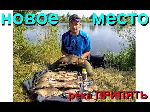 Видео: Лёха & фидерная рыбалка на новом месте - р.Припять