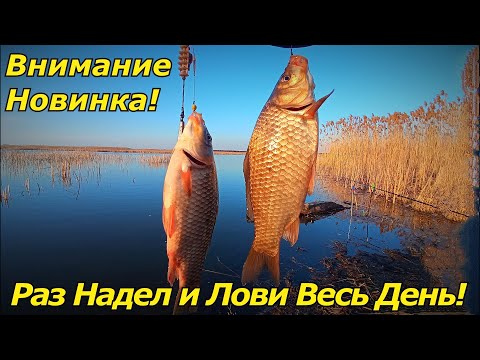 Видео: ЭТА НАСАДКА ИСТРЕБИТ ВСЕГО КАРАСЯ! ЛОВЛЯ КАРАСЯ на ПРУЖИНУ!