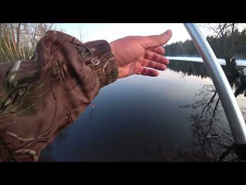 Видео: Первая рыба открытой воды. Протока в оз. Длинное. Рыбалка 24.03.22.