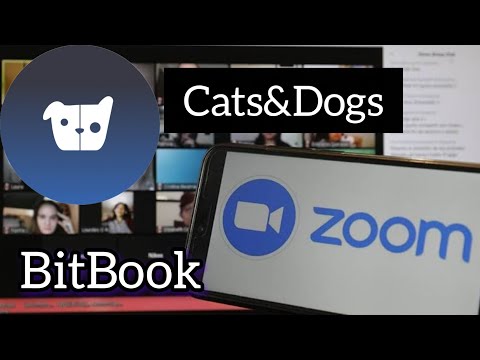 Видео: Встреча по $CATSDOGS и BitBook 