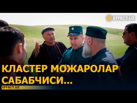 Видео: ДЕНОВДА КЛАСТЕР ВА ЧОРВАДОРЛАР МОЖАРОСИ: КЛАСТЕР НИЗОЛАР САБАБЧИСИ... – EFFECT.UZ