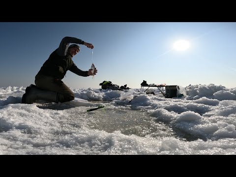 Видео: Зимняя рыбалка Капчагай бешеный клёв воблы