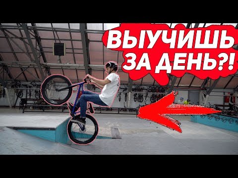 Видео: ТОП 5 ПРОСТЫХ ТРЮКОВ НА ВЕЛОСИПЕДЕ BMX/MTB В СКЕЙТ ПАРКЕ