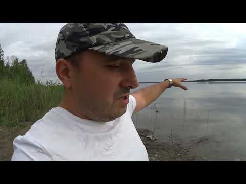 Видео: Пробы в карповой ловле. Тептярги.