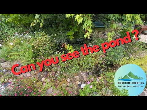 Видео: Два пруда, одна река. Большая уборка!