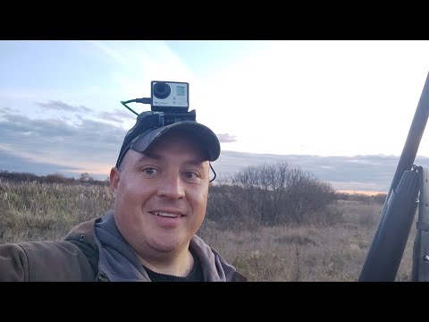 Видео: Лютая вечерка на утку💪