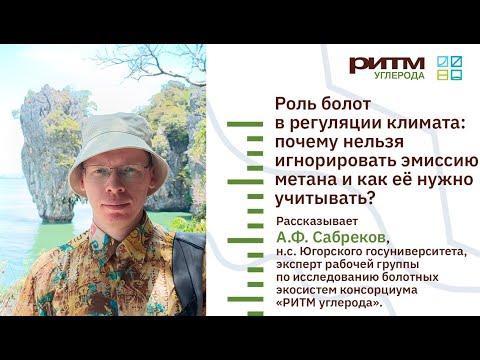 Видео: Лекция 10. Роль болот в регуляции климата. Сабреков А.Ф.