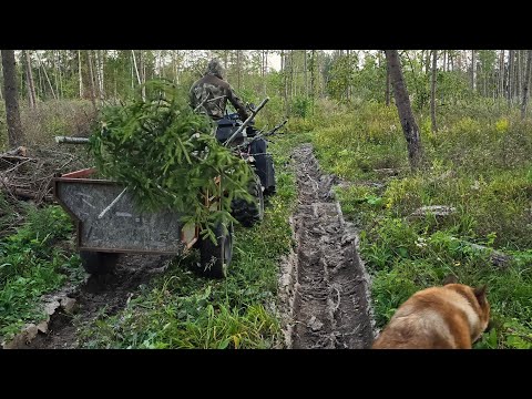 Видео: Yoll добрый стрим. Вертикальный всехнебесячий