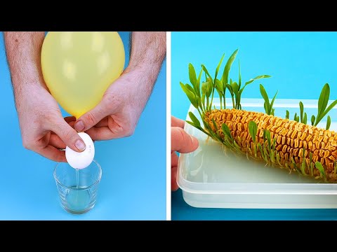 Видео: Это Гениально! ТОП 10 ЛУЧШИХ (пока) ЛАЙФХАКОВ ГОДА