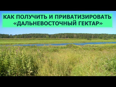 Видео: Как получить и приватизировать «Дальневосточный гектар»? Право знать 16.08.22