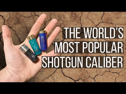 Видео: Объяснение 12 калибра
