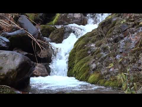 Видео: Туюк-Кегеты