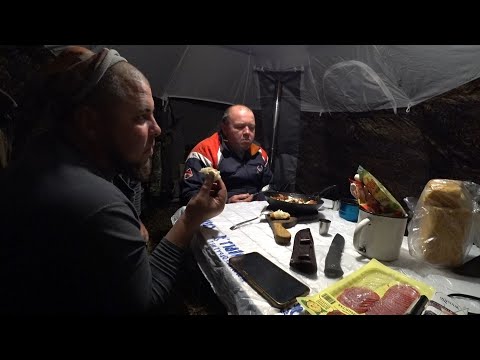 Видео: ПОБРОСАЛИ ДОНКИ В ЯМУ И ПОНЕСЛАСЬ! НАЛИМЫ НА КАЖДОЙ, СТЕРЛЯДЬ ЗА ЖО..У, ВОТ ДЕЛА \РЫБАЛКА С НОЧЁВКОЙ