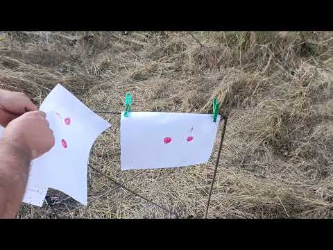 Видео: Ствол моего интер,на ружье Х3.