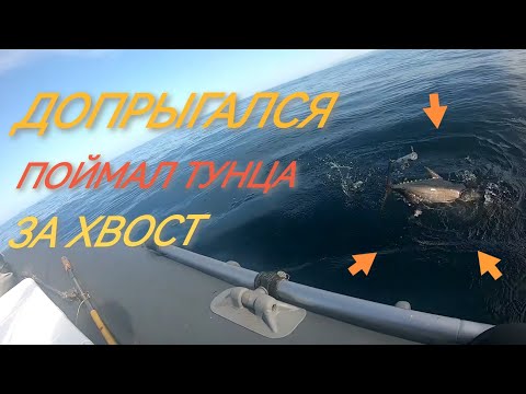 Видео: Море закипело! Поймал тунца за хвост! Пожалел беднягу!