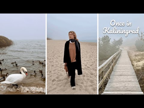 Видео: Kaliningrad Vlog | калининград, зеленоградск и куршская коса за 48 часов