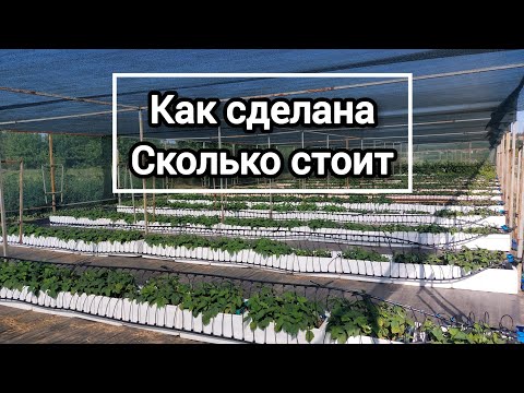 Видео: Новая площадка для саженцев малины