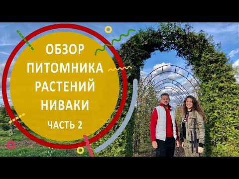 Видео: Обзор питомника Ниваки | Часть вторая | #бонсай