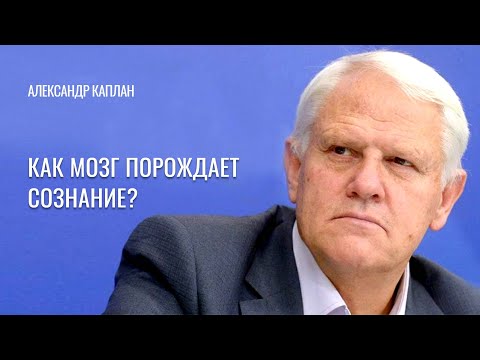 Видео: Как мозг порождает сознание? Александр Каплан