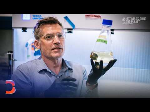 Видео: Почему мусор не бесполезен | Путеводитель оптимиста по планете