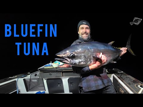 Видео: Голубой тунец в заливе Вайхау 2025 [с индейцем]
