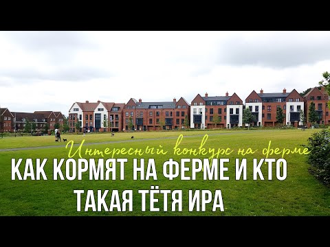 Видео: Как кормят НА ФЕРМЕ В АНГЛИИ и кто такая ТЁТЯ ИРА! Интересный конкурс на ферме