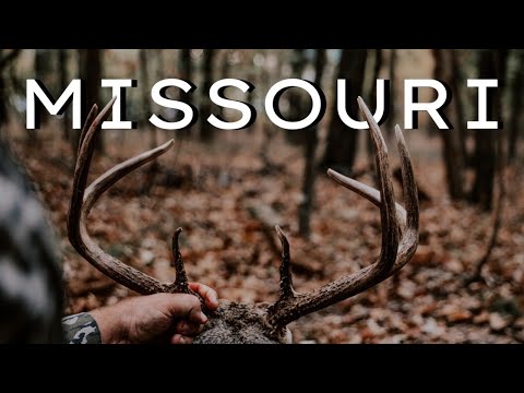 Видео: MISSOURI RUT — Я никогда не видел ничего подобного!