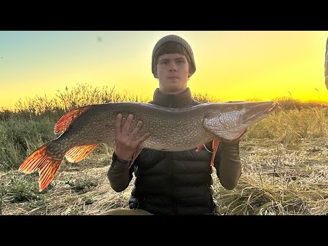 Видео: Турнир по рыбалке Атбасар | поймал трофейную щуку | рыбалка 2025