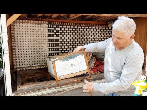 Видео: Расширение гнезда пчёл установкой Магазин