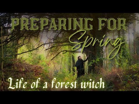 Видео: Подготовка к весне 🌱 Жизнь лесной ведьмы || Волшебство фей 🧚🏼‍♂️