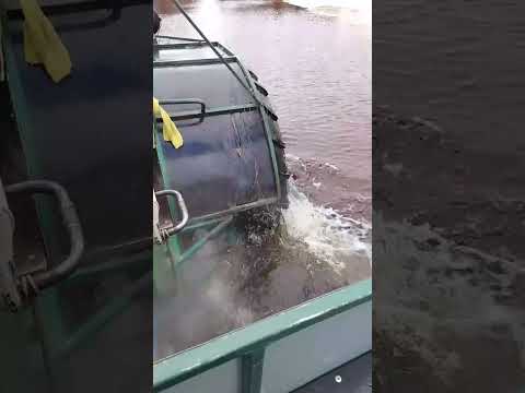 Видео: (2024) / Выезд с болота через озеро./Departure from the swamp through the lake.