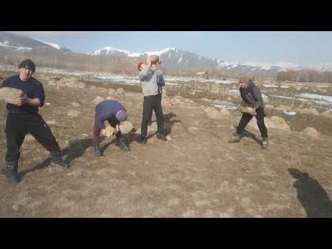 Видео: Кашат айылы(1)