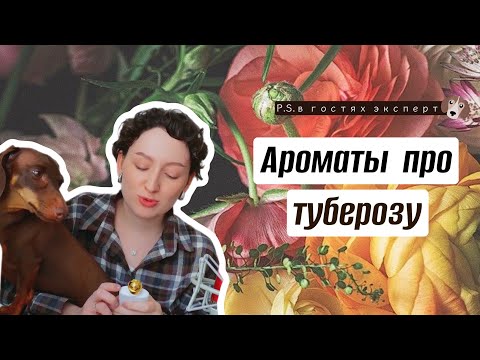 Видео: АРОМАТЫ ПРО ТУБЕРОЗУ/ БЕЛЫЕ ЦВЕТЫ В ПАРФЮМЕРИИ/ТОП 10 САМЫХ КРАСИВЫХ АРОМАТОВ