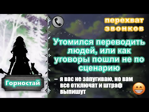 Видео: ГОРНОСТАЙ. Утомился переводить людей, или как уговоры пошли не по сценарию.
