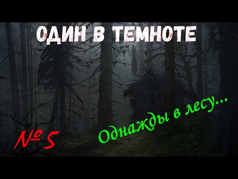 Видео: Один в темноте. Страх №5. Однажды в лесу...