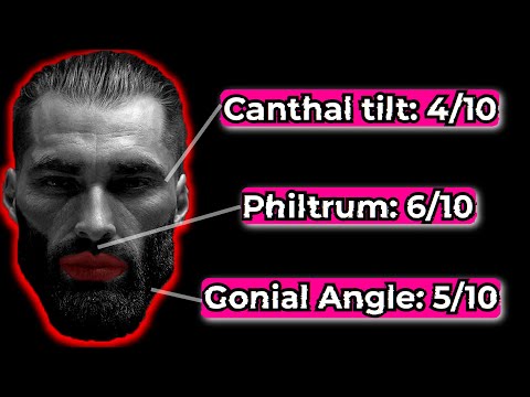 Видео: Blackpill Looksmaxxing: Опасная кроличья нора