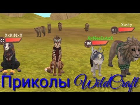 Видео: Приколы WildCraft #4 || паровозик ТЫР ТЫР ТЫР