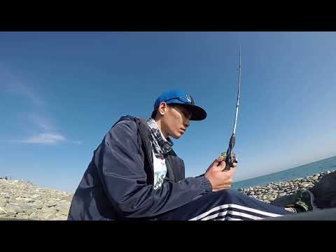 Видео: Рокфиш с берега. Морская рыбалка на черном море. Г. Сочи