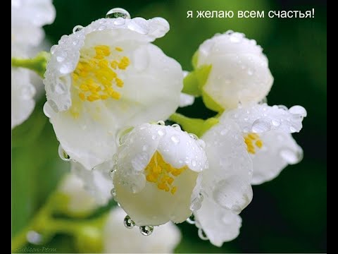 Видео: Молитва за мир во всем мире! Live 07.11.2025